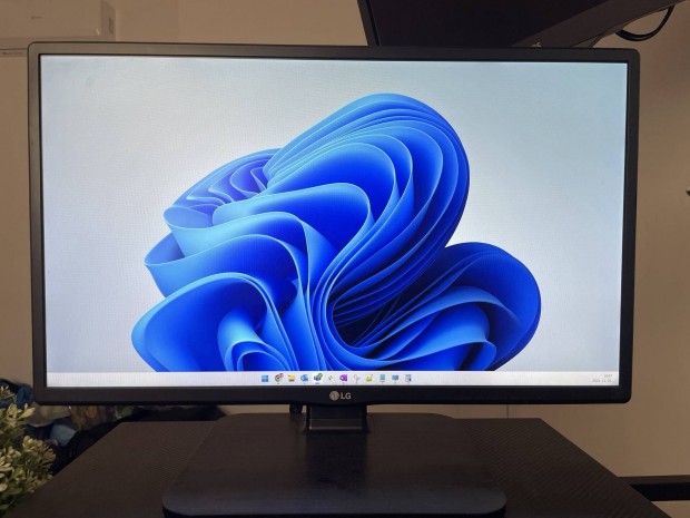 LG 24" monitor