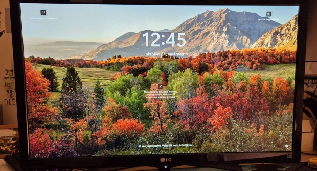 LG 27" Monitor / 1920x1080 IPS LED / 60Hz