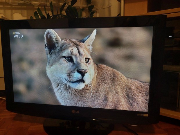 LG 32" (81cm) LCD TV/Televzi elad