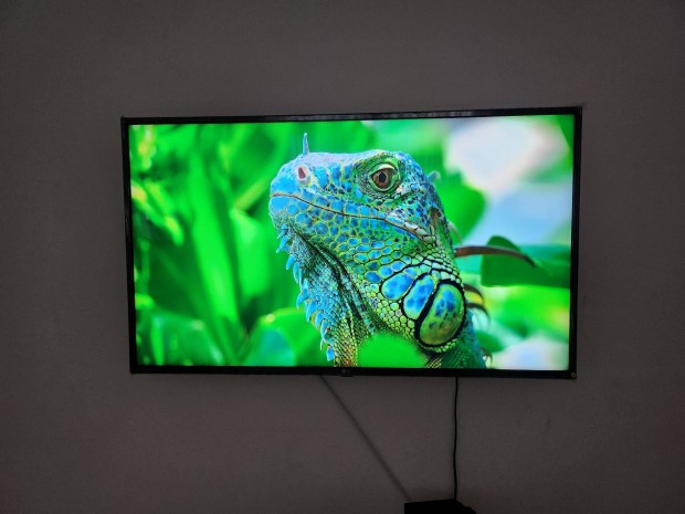 LG 4k Nanocell Smart TV 127cm / Okos tv / Hibtlan! 