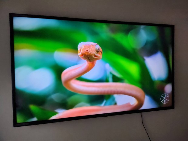 LG 4k Smart TV 139cm IPS kijelzs! Falikonzollal! 