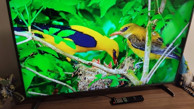 LG 50" LED tv!