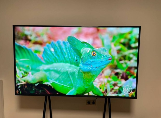 LG 65" 164cm 4K UHD LED Smart vkonytott kivitel