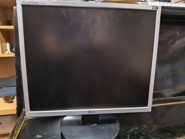 LG Flatron 19"