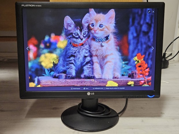 LG Flatron LCD monitor, W1934S