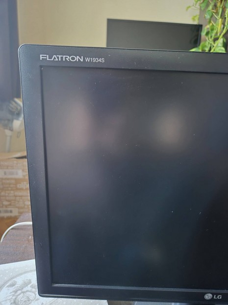 LG Flatron Monitor