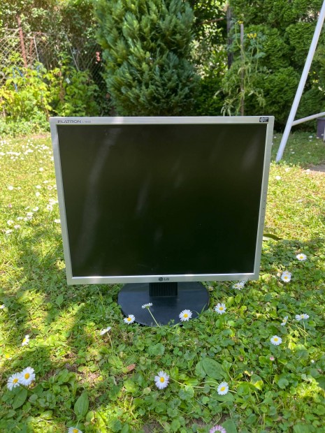 LG Flatron monitor