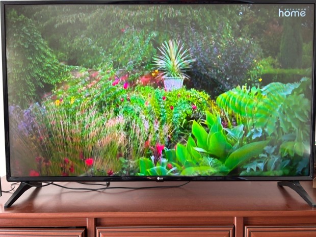 LG Full-HD LED TV (125 cm) elad - 49LT340C0ZB