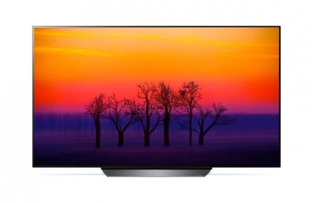 LG OLED55B8 139cm, UHD, 4K, SMART, Oled tv