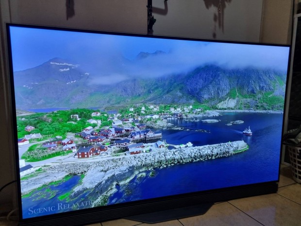 LG OLED55E7N televzi