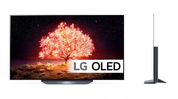 LG OLED65B13LA 4K UHD 120HZ Gaming Smart OLED TV