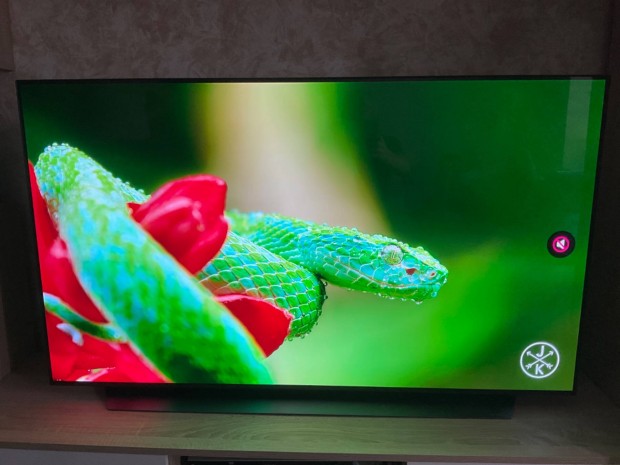 LG OLED 55C9 PLA.Hibtlan TV