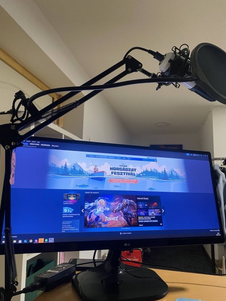 LG Ultrawide 25UM58 Monitor