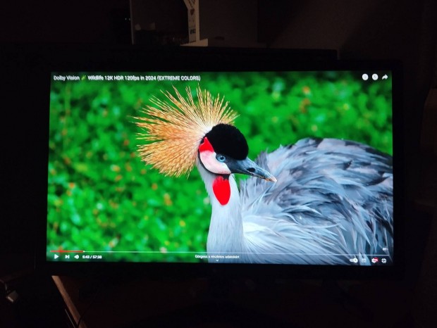 LG gamer monitor