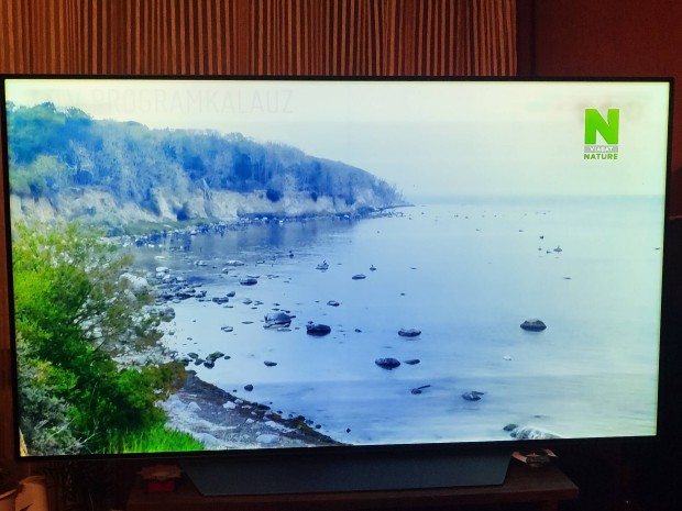 LG smart tv 139 cm oled