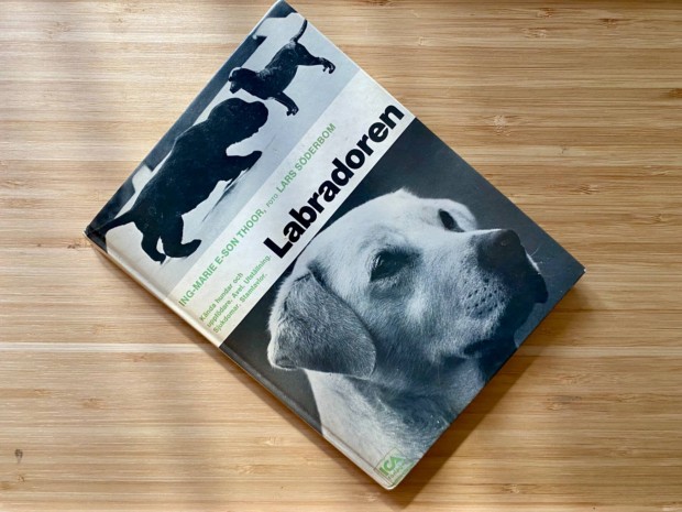 Labradoren - svd nyelven