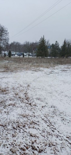 Lajosmizsei 2130 nm-es ipari ter�let elad�