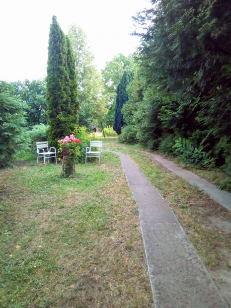 Lajosmizs�n elad� csal�di h�z