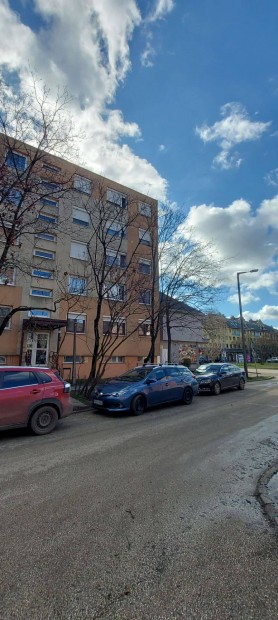 Lak�s a v�ros sz�v�ben