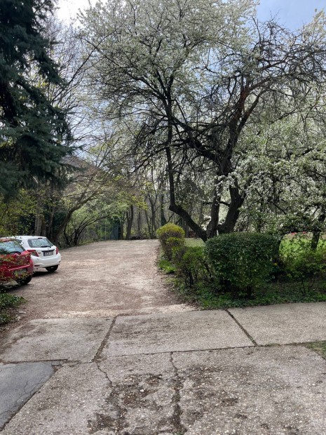 Lak�s kiad� Bud�n!