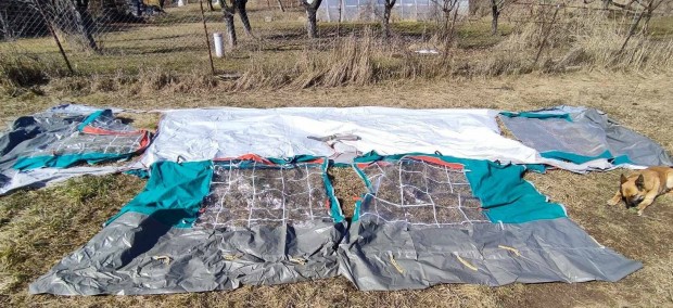 Lakkocsi, lakaut elstor