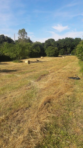 Lakókocsi parkoló, telek
