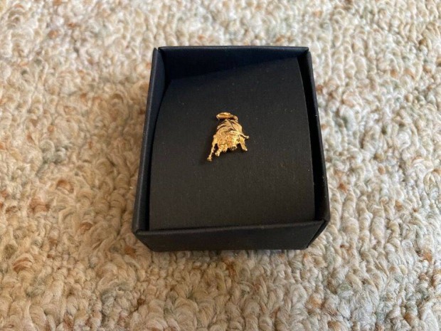 Lamborghini kitz, bross, pin