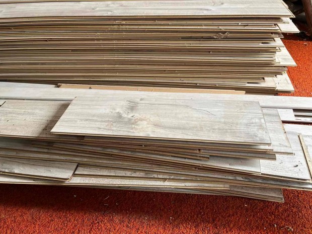 Laminltpadl