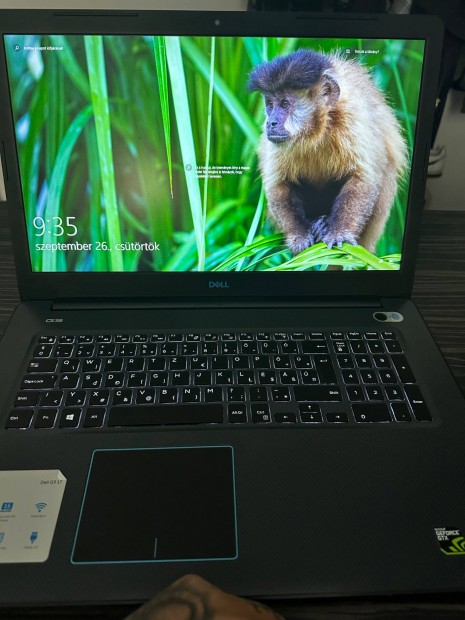 Laptop Dell g317