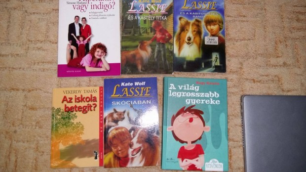 Lassie könyvek, A világ legrosszabb gyereke, Az iskola betegít