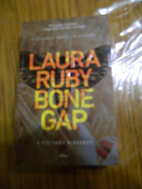 Laura Ruby Bone Gap: A klns kisvros