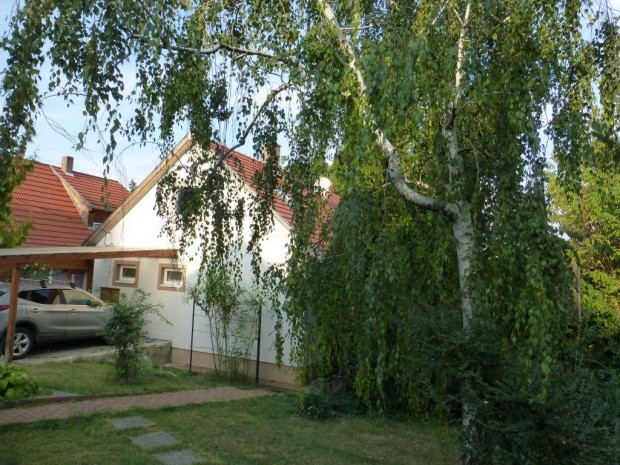 Lenyfalu, Lenyfalu, 130 m2-es, csaldi hz, 4 szobs, j llapot