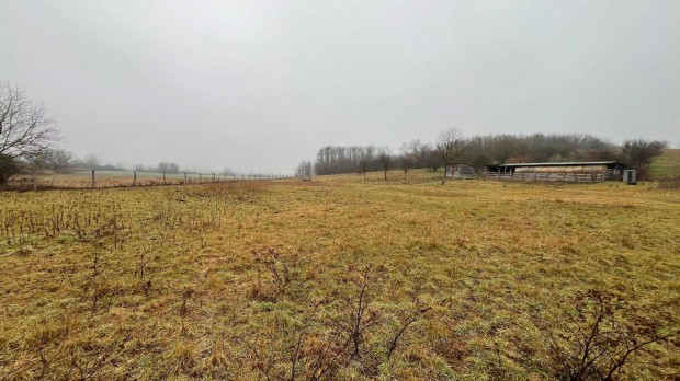 Legel� �llattart�sra elad�!