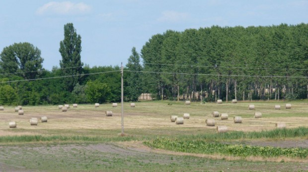 Legelő-rét-szántóföld Eladó! Pestmegyében Vasadon