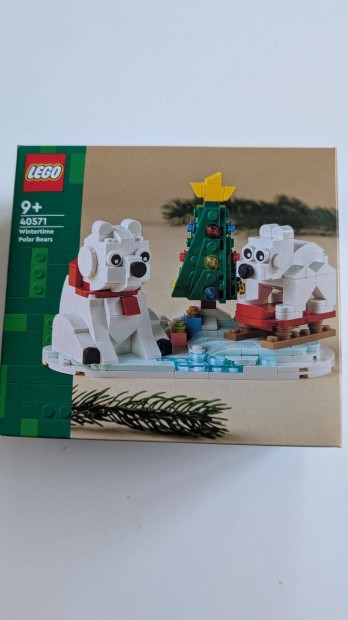 Lego 40571 jegesmedvk