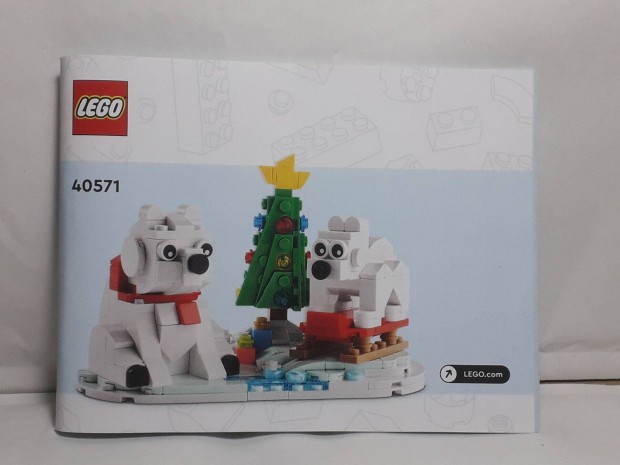 Lego Instructions Seasonal 40571 Wintertime Polar Bears 2022
