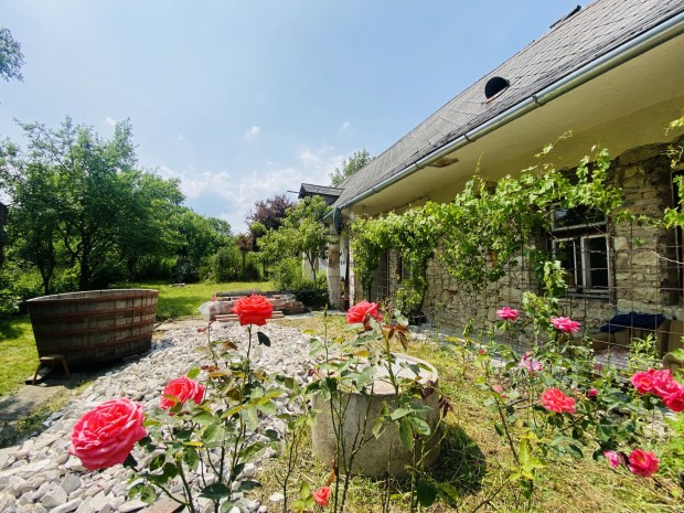 Legyen a term�szet a szomsz�dja!