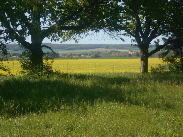 Legyen panormja, Olaszfn e dombos tjra!