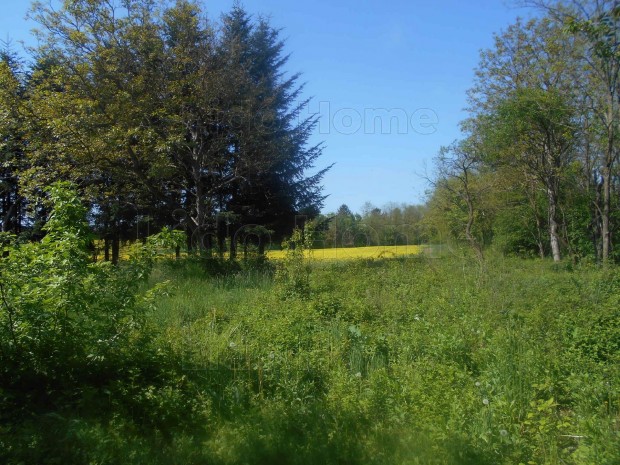 Legyen panormja, Olaszfn e dombos tjra!