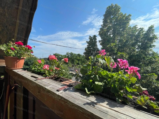 Lehetsgekben gazdag otthon