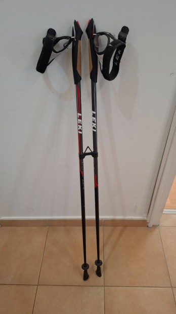 Leki Nordic walking bot