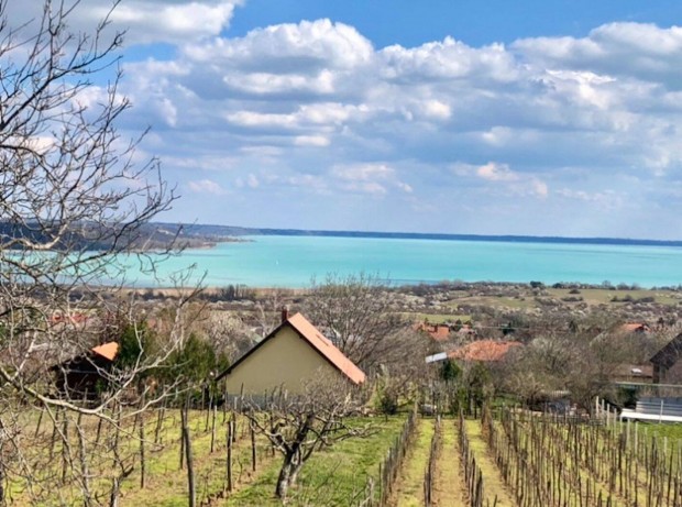 Llegzetelllt panormval nyaral elad Balatonalmdiban