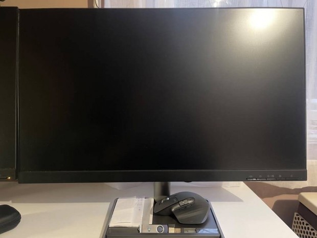 Lenovo Thinkvision IPS 24" monitor L24i-30