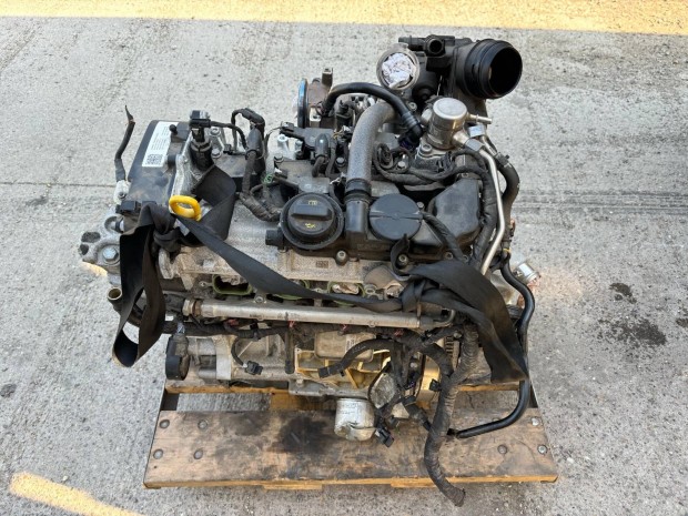 Leon Golf Octavia Passat Vw Seat Skoda 1.5 TSI DPC motor