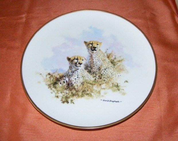 Leoprdos porceln falitnyr