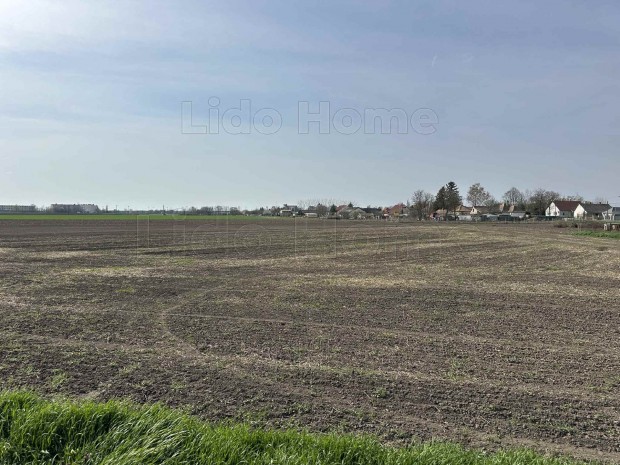 Leps�nyben �p�t�si telek elad�!