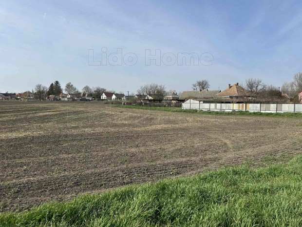 Leps�nyben �p�t�si telek elad�!