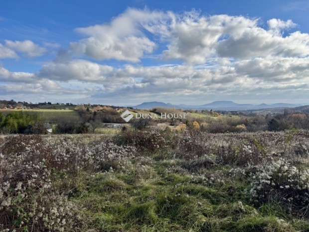 Lesencefalui elad� 3839 nm-es telek