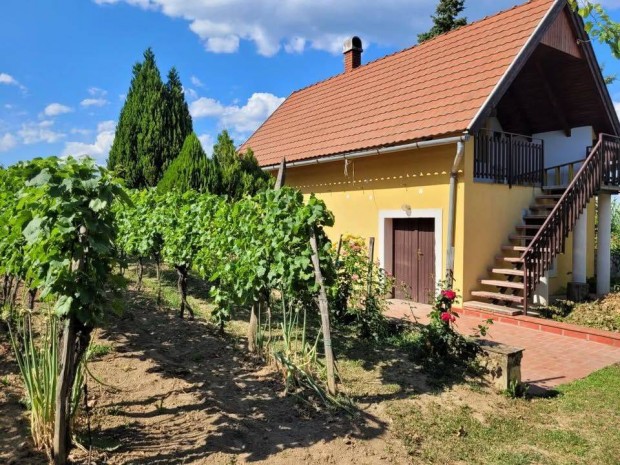 Lesenceistvndi pince, htvgi hz, nyaral