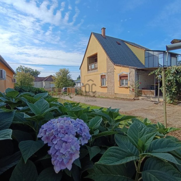 Letenyei 115 nm-es h�z elad�